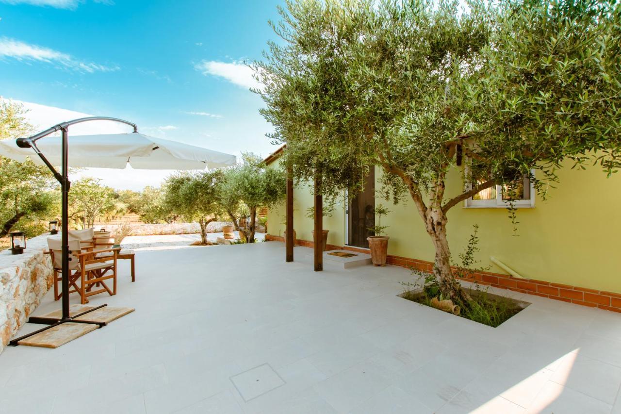 Villa Elaionas Στέρνες Εξωτερικό φωτογραφία