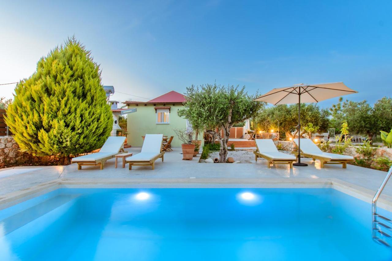 Villa Elaionas Στέρνες Εξωτερικό φωτογραφία